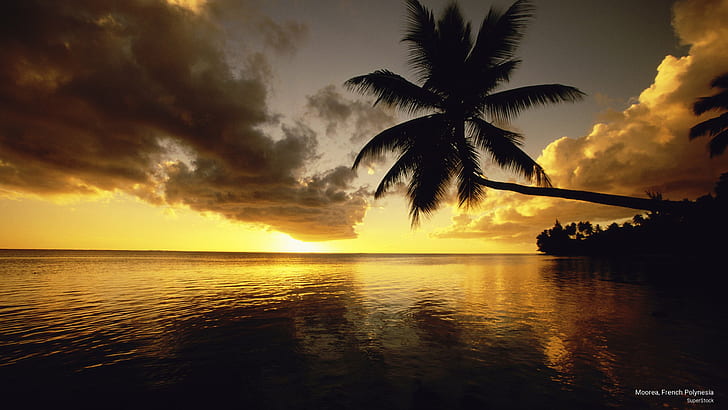 Moorea, Franska Polynesien, öar, HD tapet
