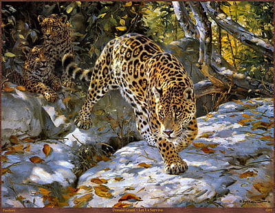 animales, depredador, felino, leopardo, HD wallpaper HD wallpaper