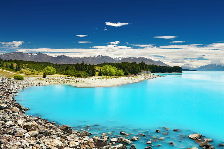 Нова Зеландия, природа, борови дървета на морския бряг, планини, езеро, природа, Нова Зеландия, Нова Зеландия, HD тапет