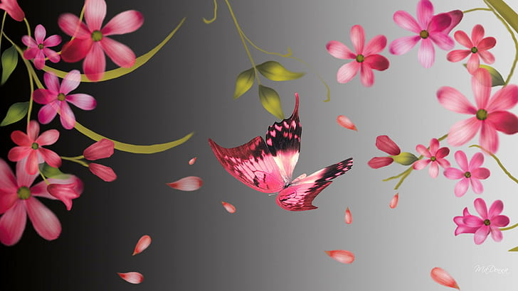 Summer Flys By, Brise, Fleur, warmes Licht, Papillon, Schmetterling, rosa, Blumen, Frühling, grau, abstrakt, Sommer, Blütenblatt, HD-Hintergrundbild