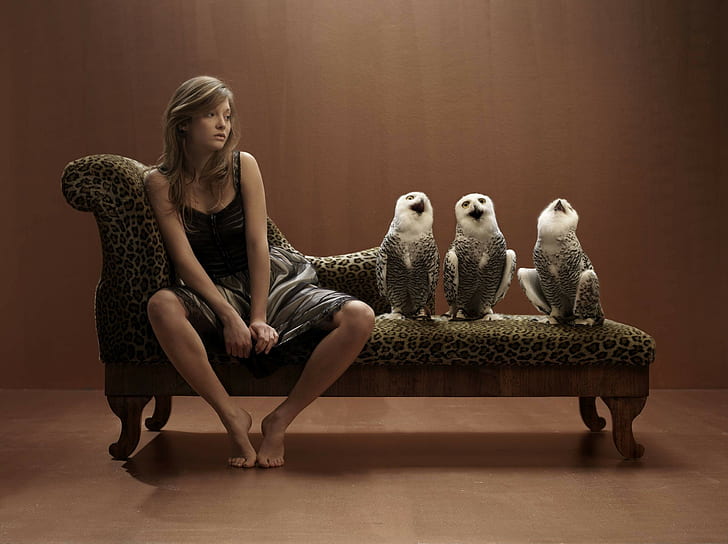 Owl, Sitting, Women, owl, sitting, women, HD wallpaper