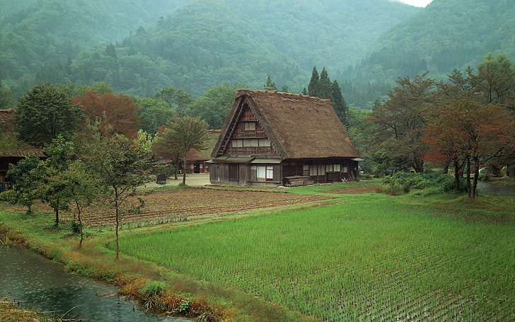 brown house, landscape, Japan, plants, house, HD wallpaper