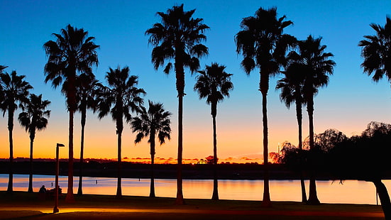 tramonto, palme, California, Stati Uniti d'America, San Diego, Mission Bay, Sfondo HD HD wallpaper