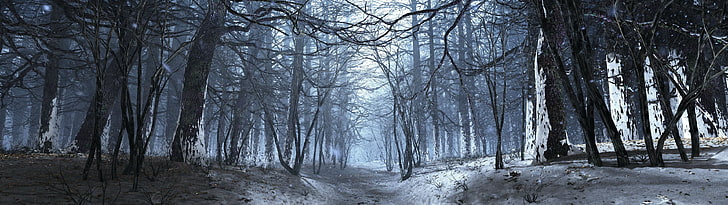 кафяви безлистни дървета, многократно показване, сняг, гора, природа, HD тапет
