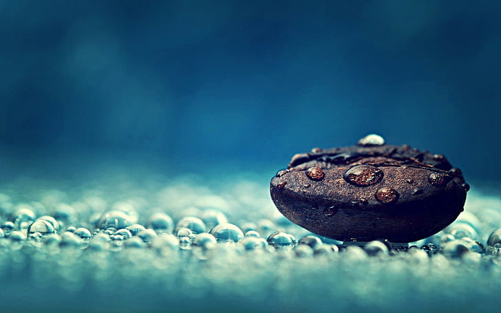 macro coffee beans water drops relaxation relaxing, HD wallpaper