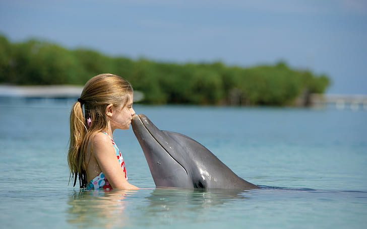 little girl dolphin water animals ponytail, HD wallpaper