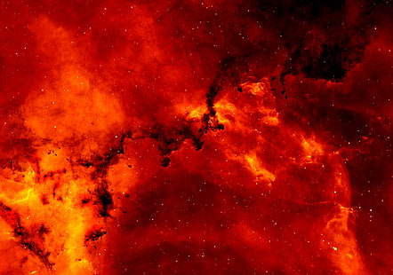 gros plan, couleur, couleur, flamme, galaxies, orange rouge, nébuleuse de la rosette, éruption solaire, espace, étoiles, univers, Fond d'écran HD HD wallpaper
