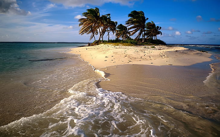 Остров Тропический Пляж Океан Пальмы HD, природа, деревья, океан, пляж, тропик, остров, пальма, HD обои