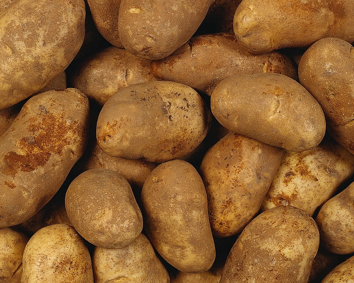 brown potato lot, potato, root crop, crude, HD wallpaper