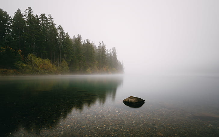 body of water during day time, All For One; One For All, body of water, day, time, nature, fog, morning, trees, long exposure, Easton  Washington, Pacific Northwest, Canon EOS 5D Mark III, Canon EF, 35mm, 4L, B+W, ND, 1000x, United States, US, forest, lake, water, landscape, reflection, tree, scenics, outdoors, tranquil Scene, beauty In Nature, HD wallpaper