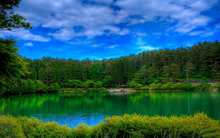 *** Hermoso Lskape ***, lago verde entre pinos verdes, niebo, drzewa, jezioro, krajobraz, naturaleza y paisajes, Fondo de pantalla HD