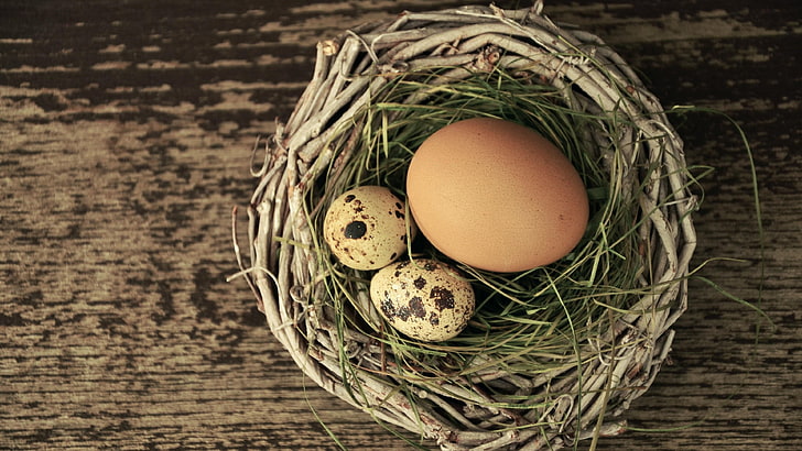 eggs, nest, hay, easter, HD wallpaper