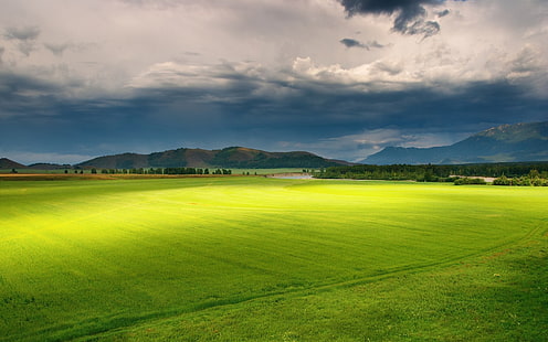 grüne und braune Bäume malen, Landschaft, Wolken, Hügel, Berge, Grün, Feld, HD-Hintergrundbild HD wallpaper