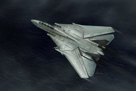 طائرة عسكرية ، مركبة ، عسكرية ، Grumman F-14 Tomcat، خلفية HD HD wallpaper