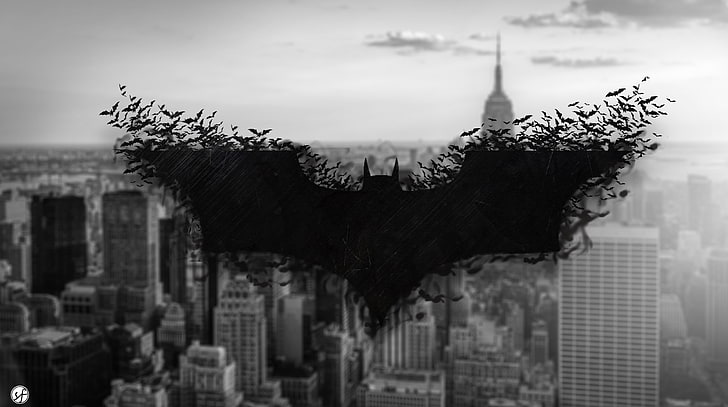 Batman - protetor do reino, logotipo do Batman, filmes, Batman, preto, morcegos, ficção científica, HD papel de parede
