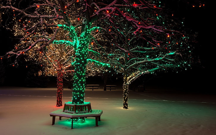 trees with string lightws, trees, lights, Christmas, winter, snow, park, HD wallpaper