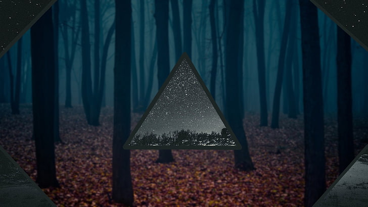 trees, stars, space, blurred, HD wallpaper