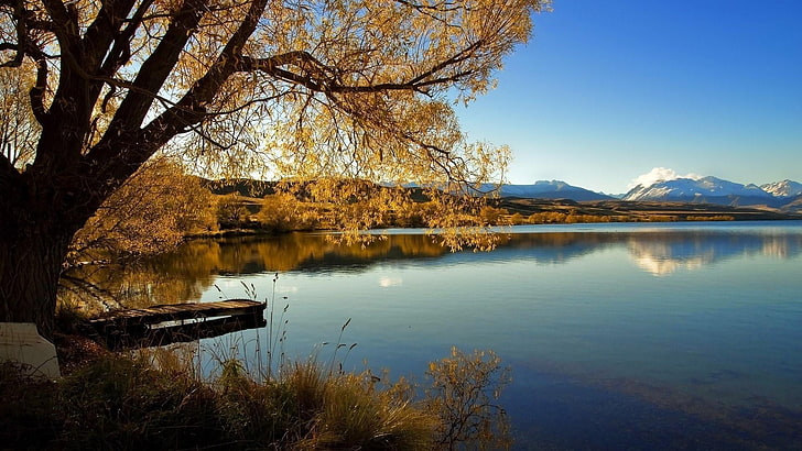 lake alexandrina, lone tree, new zealand, romantic, calmness, scenery, lone, tree, blue sky, lake, HD wallpaper