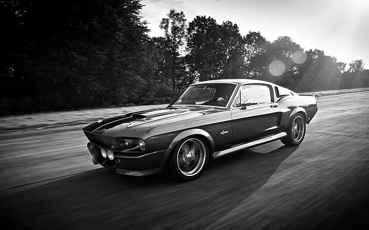 Ford Mustang w pobliżu drzew, samochód, Ford Mustang, Ford Mustang Shelby, Tapety HD