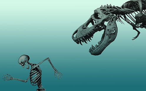 papel de parede de dinossauro e esqueleto humano, dinossauros, HD papel de parede HD wallpaper