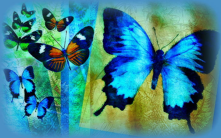 ? Bleu Papillon ?, cantik, lukisan, keren, pra-dibuat kreatif, desain kupu-kupu, kelembutan-keindahan, gambar, kupu-kupu biru, Wallpaper HD