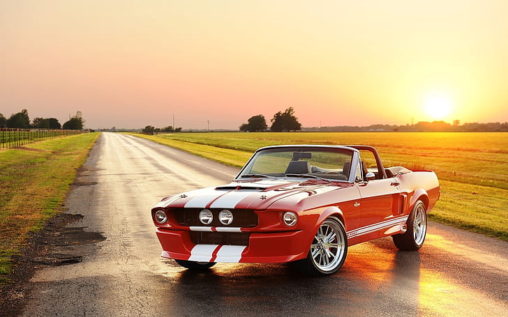 Mustang HD, vehicles, mustang, HD wallpaper
