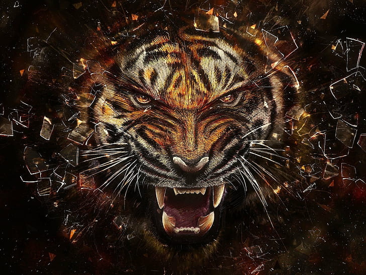 животные, битое стекло, тигр, HD обои