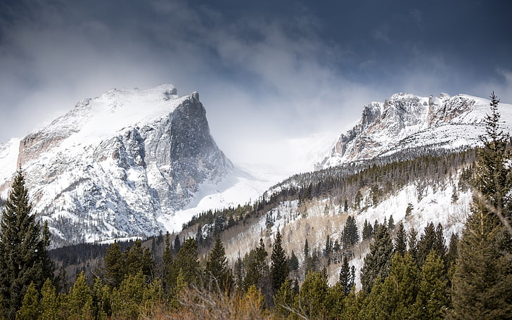 schneebedeckte Berge, Berge, Wald, Natur, Landschaft, HD-Hintergrundbild