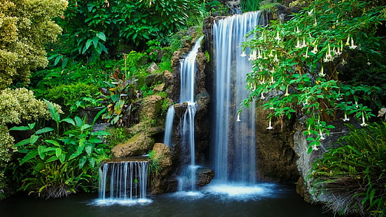 waterfall, water, nature, vegetation, botanical garden, chute, california, arcadia, united states, HD wallpaper HD wallpaper