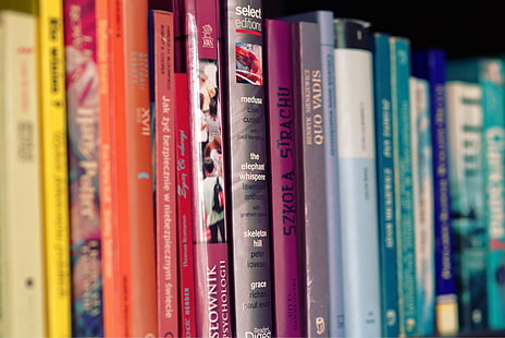 rak buku, buku, warna-warni, pendidikan, pengetahuan, perpustakaan, membaca, rak, buku cerita, Wallpaper HD HD wallpaper