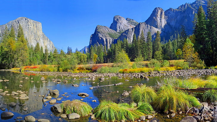 Yosemite, 5k, 4k wallpaper, 8k, forest, OSX, apple, mountains, HD wallpaper