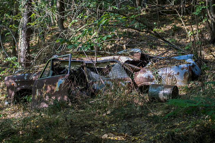 gammal bil, vildblommor, vintagebil, natur, HD tapet