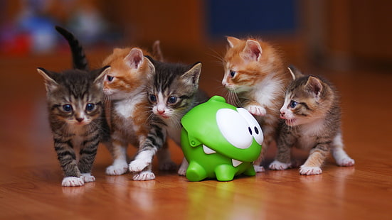 five orange and black kittens, animals, cat, kittens, toys, feline, baby animals, Cut the rope, HD wallpaper HD wallpaper