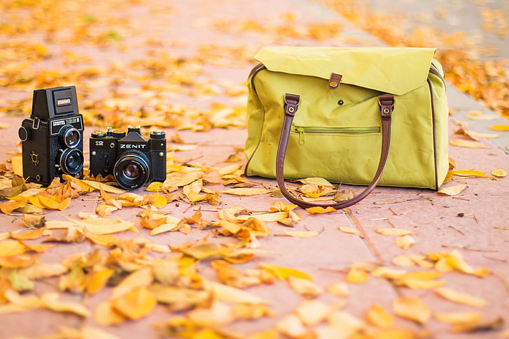 autumn, bag, camera, cameras, dslr, fall, handbag, hipster, photography, vintage, HD wallpaper