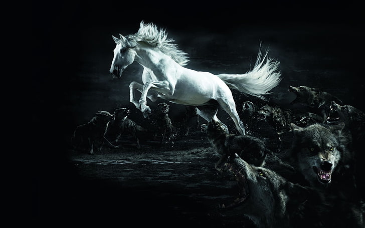 white unicorn and black wolves, white, Horse, wolves, twilight, wolf, HD wallpaper