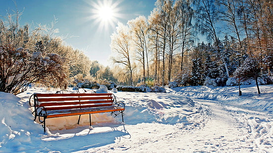 скамейка, солнечный луч, лучи, снег, зима, природа, дерево, замерзание, небо, мороз, солнце, солнечный свет, солнечный свет, парк, пейзаж, HD обои HD wallpaper