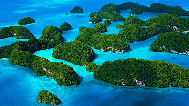 Palau, pulau, batu kapur, pohon, laut, Wallpaper HD
