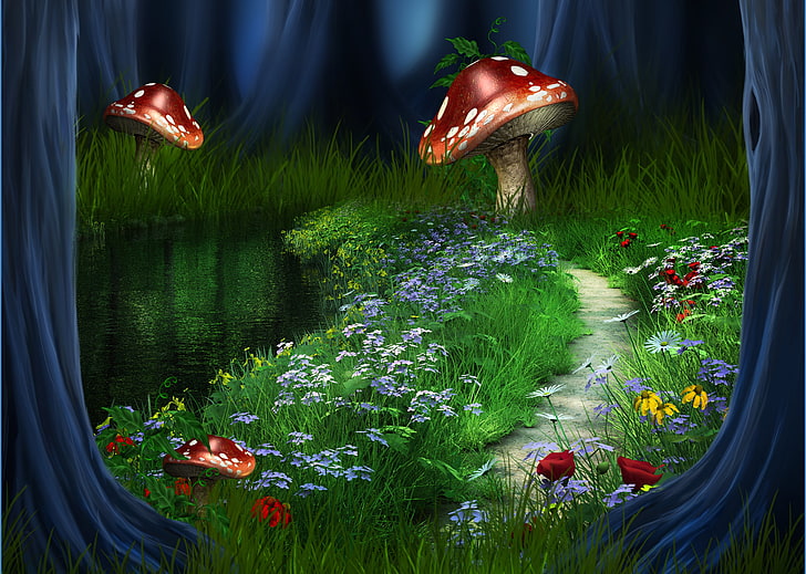 red and white mushroom illustration, forest, landscape, flowers, nature, the way, river, HD wallpaper