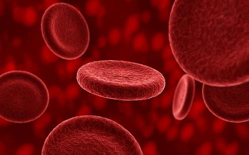 sel darah merah, eritrosit, plasma, darah, komposisi, Wallpaper HD HD wallpaper