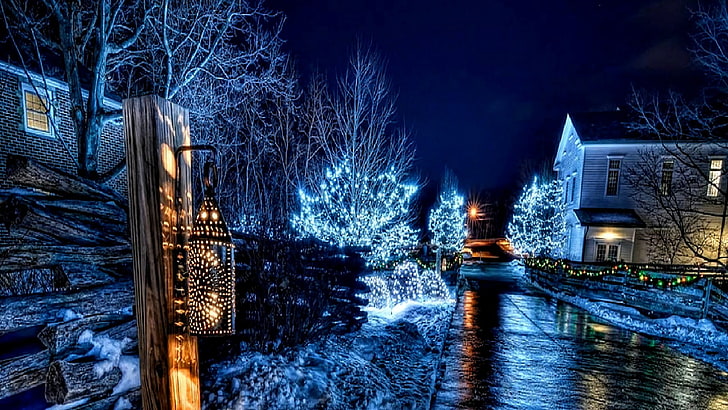 nature, xmas, winter, christmas, night, christmas decoration, tree, christmas lights, town, lighting, evening, sky, HD wallpaper