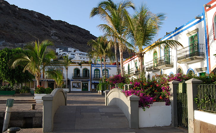 Gran Canaria, coqueiros verdes, viagens, ilhas, HD papel de parede