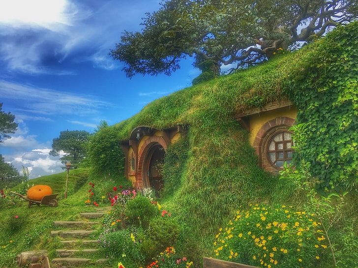 gelbe blütenblätter, hobbiton filmkulisse, waldhaus, fabelhaft, neuseeland, HD-Hintergrundbild