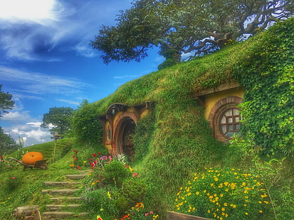 żółte kwiaty z płatkami, plan filmowy hobbiton, dom w lesie, bajeczny, nowa zelandia, Tapety HD HD wallpaper