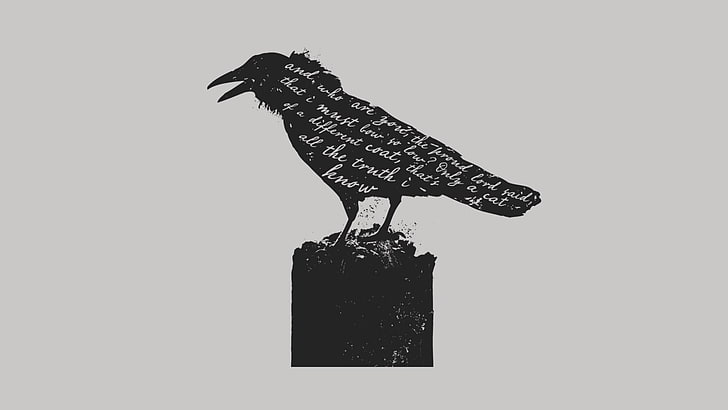 черна врана илюстрация, черно, сиво, гарван, стихотворение, врана, HD тапет