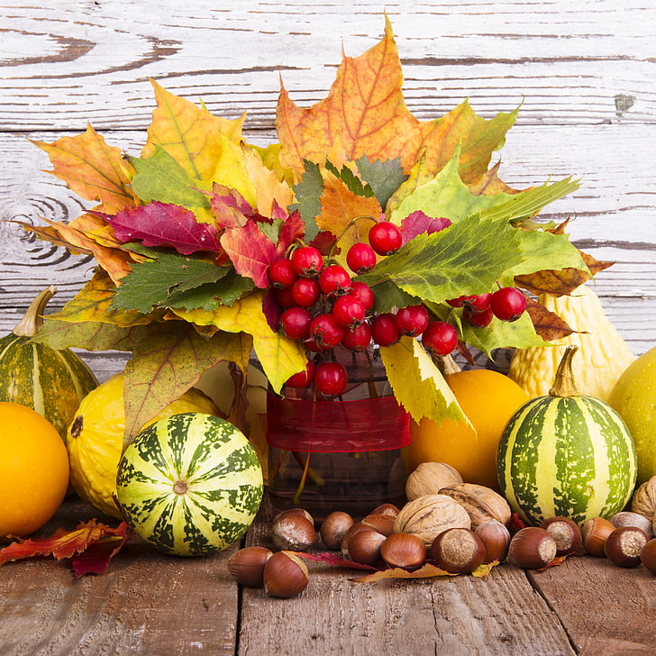 assorted fruits, autumn, leaves, berries, harvest, pumpkin, nuts, still life, fruits, HD wallpaper