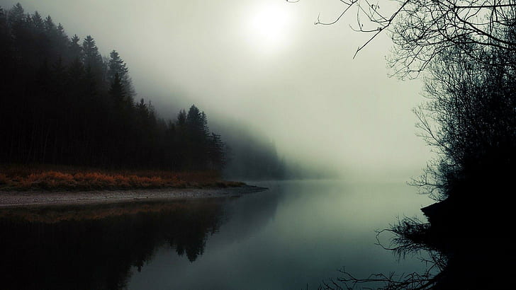 Fog rising from the water, trees silhouette, photography, 1920x1080, water, forest, HD wallpaper