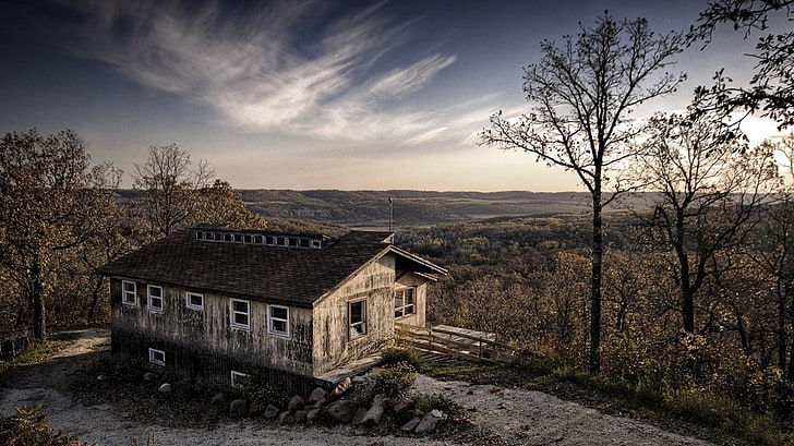 braunes Holzhaus, Kabine, Wald, Landschaft, HD-Hintergrundbild