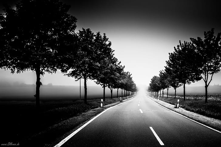 grayscale photography of pathway between tall trees, Der, Weg, ins, KW, grayscale, photography, pathway, tall, trees, Blau, Canon  EOS, Black  White, BW, SW, Schwarz  Weiss, Germany, way, Sachsen-Anhalt, road, tree, black And White, nature, highway, asphalt, outdoors, HD wallpaper
