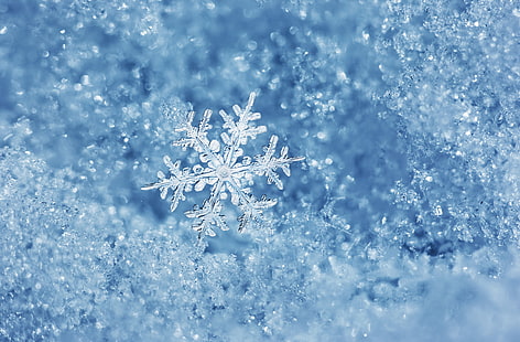 clear snowflake, ice, winter, water, macro, snowflake, HD wallpaper HD wallpaper