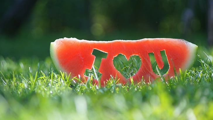 нарезанный арбуз на зеленой траве, День святого Валентина, любовь, подарок, романтика, сердце, надпись, я люблю тебя, HD обои